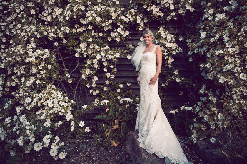 helen_brett-875